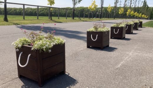 スクエア型プランターは木製